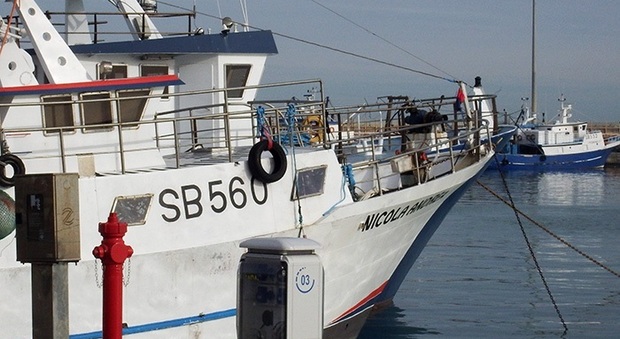 San Benedetto, operazione mare pulito: dodici barche vanno a pesca di plastica