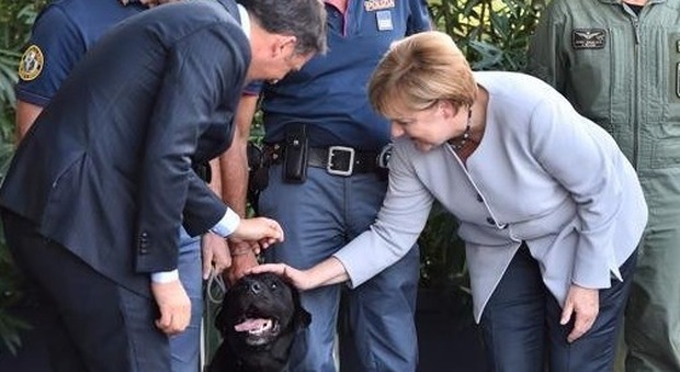 Renzi presenta il cane Leo alla Merkel: aiutò a salvare la vita alla piccola Giorgia