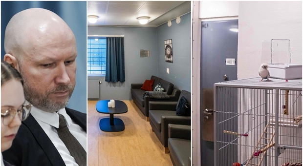 Breivik fa causa alla Norvegia: «Il carcere mi spinge al suicidio». Ma vive in una cella con PlayStation, palestra e pappagalli