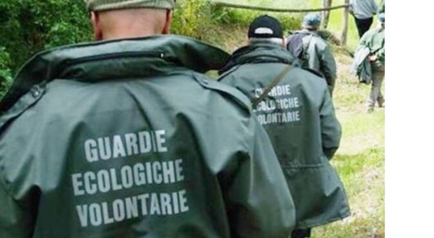 Vitri (Pd): «Guardie ecologiche volontarie: salvati 43 animali ma la Regione non ci mette un euro»