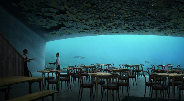 In Norvegia il primo ristorante subacqueo in Europa: 240 euro a persona per mangiare sott'acqua