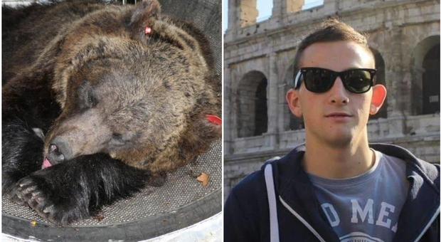 Andrea Papi ucciso dall'orsa JJ4, l'esami del Dna individua l'esamplare che già due anni fa era scampato all'abbattimento