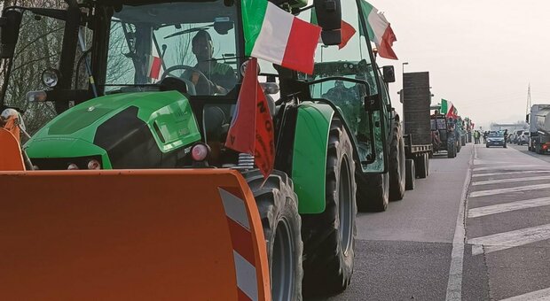Protesta trattori, meno vincoli dalla Ue su bonus e pesticidi. Il governo: «Vittoria italiana»
