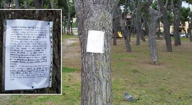 Porto San Giorgio, scrive una lettera al ladro ​e la appende sugli alberi