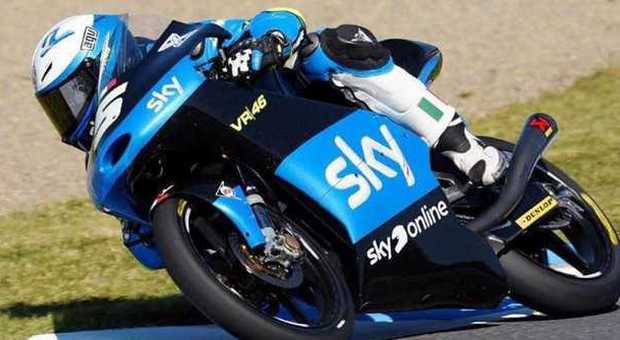 Moto3, Fenati conquista la prima pole in carriera. In seconda fila Antonelli e Bastianini