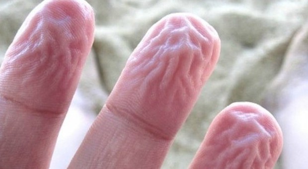 Perché le dita si raggrinziscono in acqua? Uno studio cerca di spiegare il perché