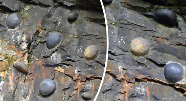 La strana roccia che produce uova: il mistero che la scienza non riesce a spiegare