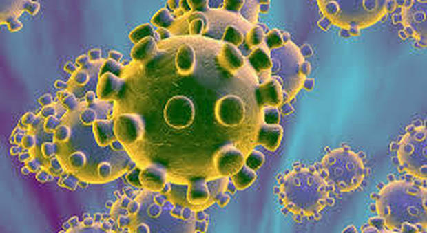 coronavirus (foto dal web)