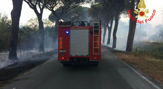 Latina, imponente incendio sulla Litoranea: emergenza rientrata