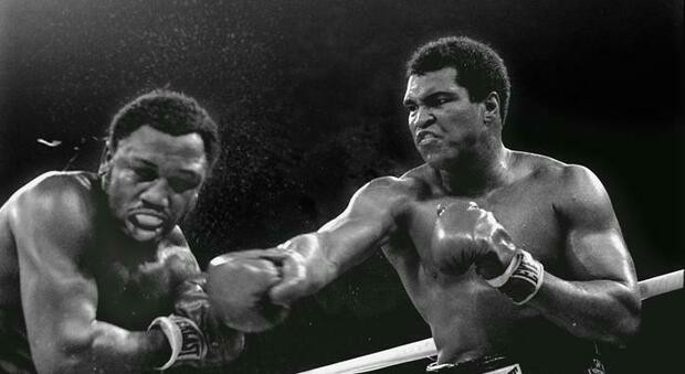 Boxe: 50 anni fa l'Incontro del Secolo tra Muhammad Ali e Joe Frazier