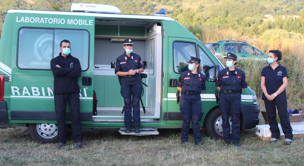Nella foto il Reparto Carabinieri-Forestali sulla Biodiversità.