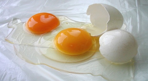 Ecco l'uovo vegano: brevetto made in Italy, possono mangiarlo tutti