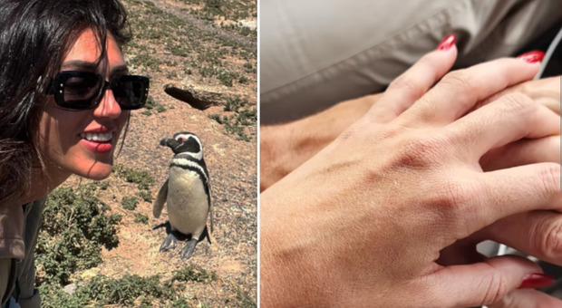 Cecilia Rodriguez selfie con il pinguino in Argentina e dedica al suo Ignazio: «A te»