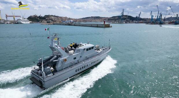 L'estate della Finanza di Ancona: multe alle imbarcazioni per 200mila euro e 20mila ricci di mare "salvati"