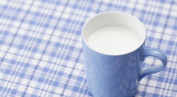Latte e yogurt andrebbero consumati ogni giorno, ecco perché