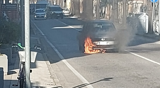 L'auto prende fuoco mentre viaggia sulla Statale 16: traffico in tilt