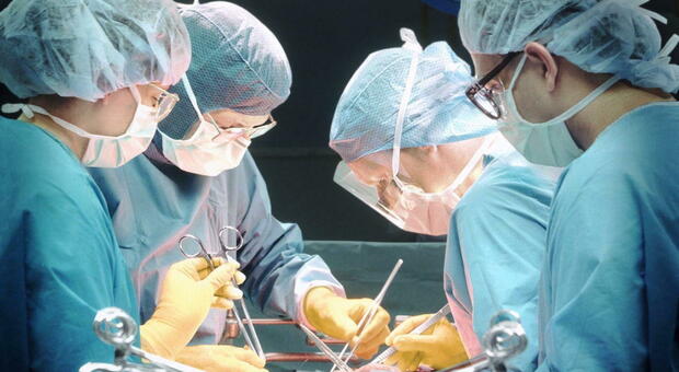 Trapianto di fegato, 13enne con doppia rara patologia salvo dopo 16 ore di intervento all'ospedale Molinette