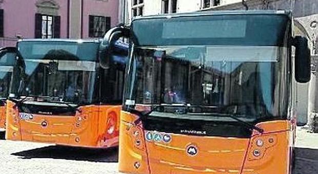 Arrivano i nuovi autobus Francigena. Ma la partecipata per i parcheggi blu incassa sempre meno: pagano in pochi