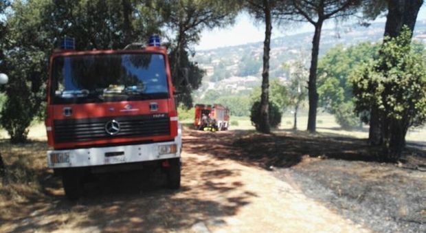 Albano, in fiamme il monte Savello: evacuate alcune case