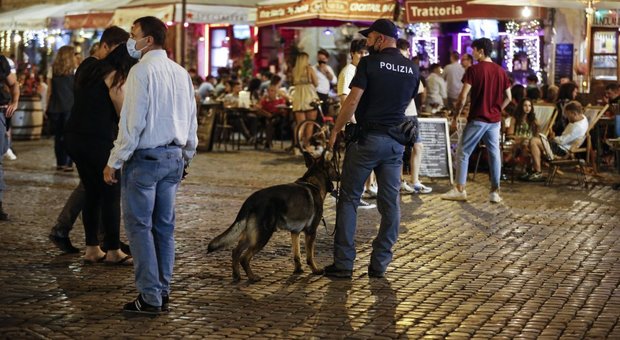 Roma, cani anti-droga a Campo de’ Fiori: via alla stretta sulla movida molesta