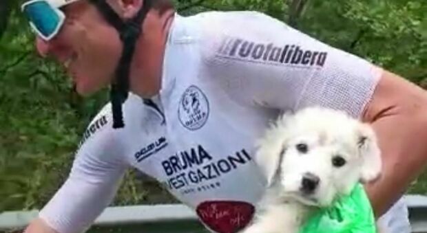Smarrito e affamato in strada: ciclista salva un cucciolo di maremmano