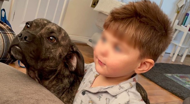 Bambino di 3 anni morto mentre guarda la tv, stroncato dallo Streptococco A: «Nessun sintomo»