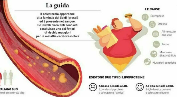 Colesterolo alto, ecco la molecola per gli intolleranti alle statine: in Italia dalla fine di marzo
