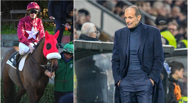 Roma-Juventus, Max Allegri beffato all'ippodromo Capannelle: sconfitta la sua cavalla Estrosa nel premio Ceprano
