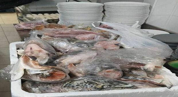 Nel ristorante alla Baraccola 80 chili di pesce e carne scaduti, più quattro dipendenti irregolari: multe per 40mila euro