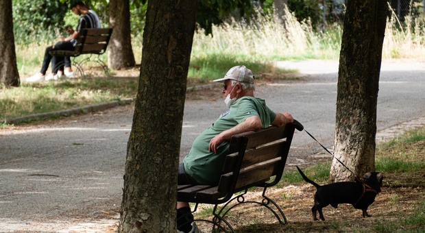 Anziani, 1500 volontari per battere solitudine d'estate e le paure del Covid