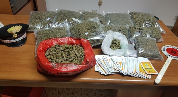 Roma, scoperto “Grow shop” illegale: arrestato commerciante e sequestrati 4 chili di marijuana