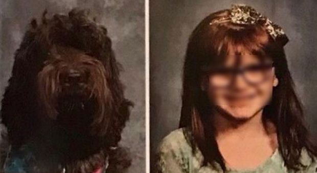 L'alunna di 7 anni compare insieme al cane nell'annuario scolastico, il motivo vi commuoverà