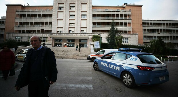 Napoli, cade ramo da albero: chiuso il parcheggio dell'ospedale Monaldi