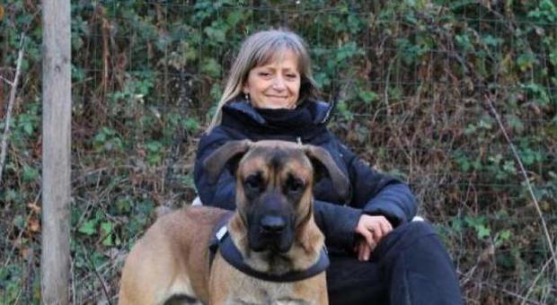 Azzannata al collo dal cane che curava Gravissima una volontaria animalista