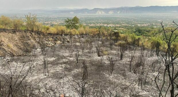 Incendi sul Vesuvio, un tappeto di cenere dopo il primo rogo e il presidente avverte: «Guardia alta»