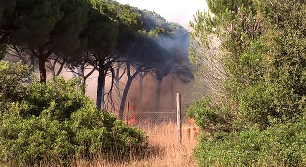 Da Zingaretti appello ai prefetti: «Incendi aumentati del 400%, vanno rafforzate prevenzione e repressione»