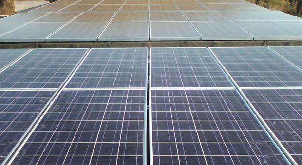 Wwf: «Napoli, 26 impianti fotovoltaici non allacciati alla rete elettrica»