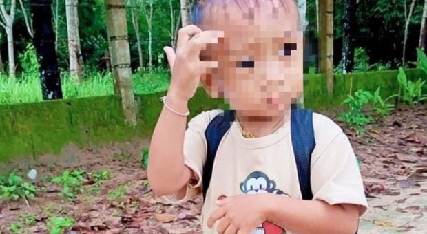 Bimbo di 2 anni dimenticato nello scuolabus per ore: il piccolo muore dopo 4 giorni in coma
