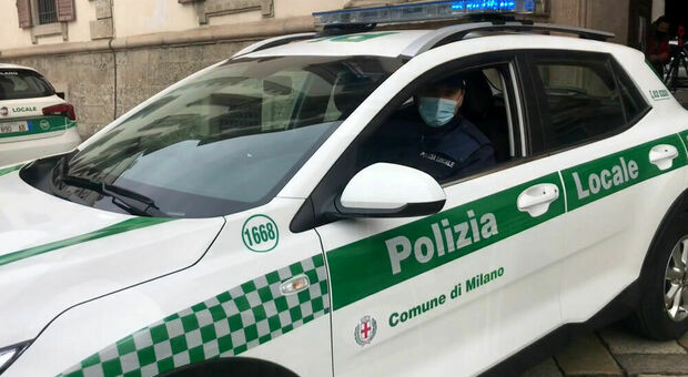 Milano, uccide e macella un ovino in cortile: 60enne denunciato adesso rischia il carcere e 150mila euro di multa