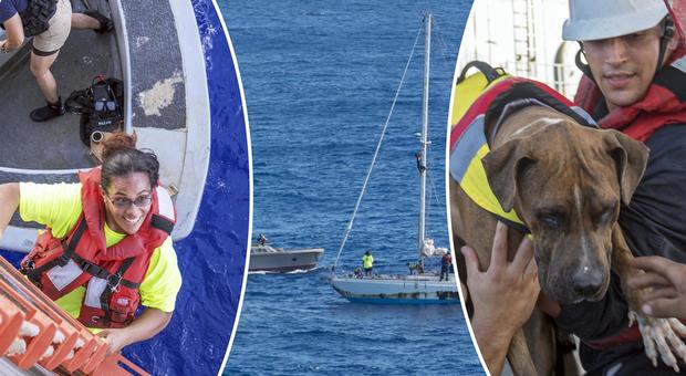 Alla deriva per cinque mesi nell'oceano, due donne e i loro cani vengono salvati così