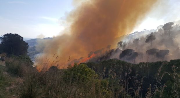 Spaventoso incendio a Castelforte: distrutti ettari di pineta