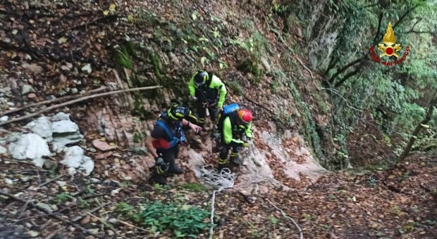 Serravalle del Chienti, cane cade in una forra: Reno recuperato dal gruppo Speleo Alpino Fluviale
