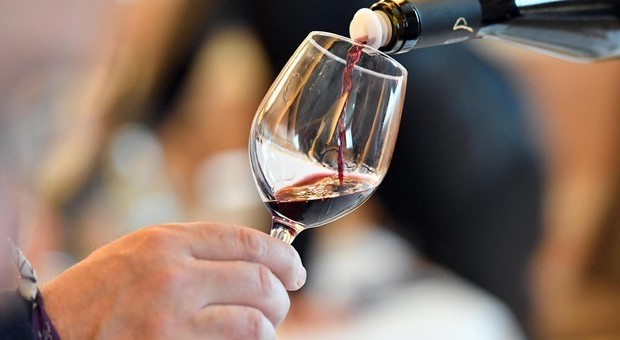 Il vino rosso potrà essere usato per combattere ansia e depressione: la scoperta
