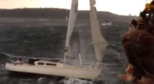 Barca a vela contro traghetto a Sidney Harbour: video