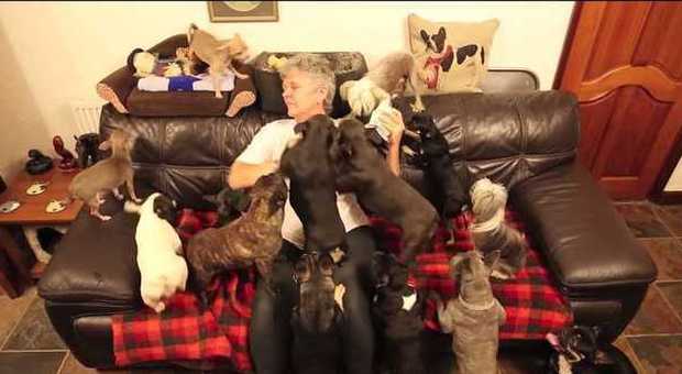 La signora Everett con alcuni dei suoi 41 cani