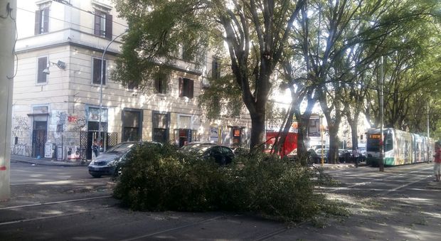 Roma, ramo cade sui binari a San Lorenzo Atac attiva navette sostitutive