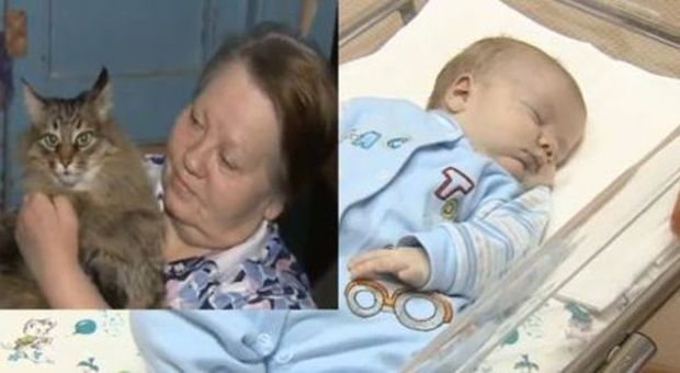 Russia, la gatta salva il neonato abbandonato: «Lo ha accudito come un cucciolo»