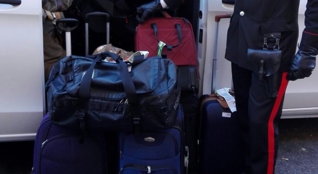 Rubano i bagagli a gruppo di turisti inglesi: sgominata una gang di rom specializzati in trolley
