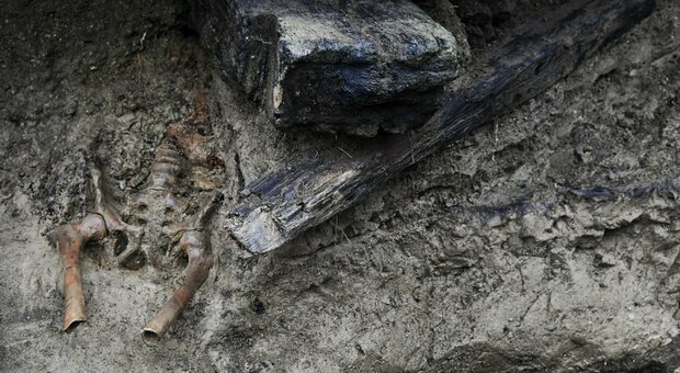 Scavi di Ercolano, ritrovato lo scheletro dell'ultimo fuggiasco