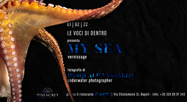 «My Sea», la mostra fotografica di Pasquale Vassallo tra il Golfo di Napoli e il parco sommerso di Baia